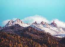 AYXSPORTS：激发你的运动潜能，开启健康新生活