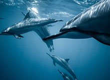 mk体育官网首页：一站式体育世界入口，开启专属球迷新体验